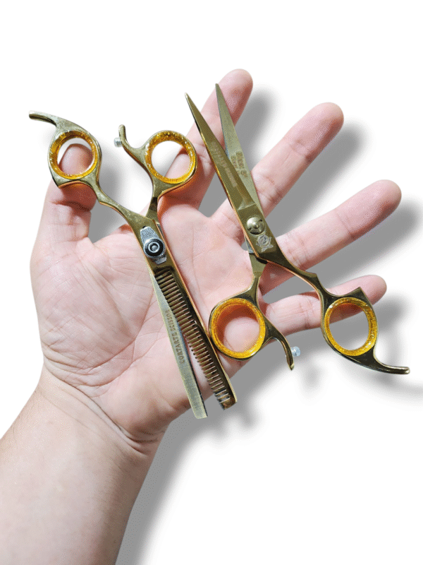Set de Tijeras Profesionales Mod SJ2c6"